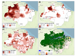 Development, environmental degradation, and disease spread in the Brazilian Amazon