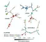 Microsatellite analysis reveals connectivity among geographically distant transmission zones of Plasmodium vivax in the Peruvian Amazon