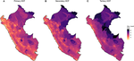 Travel Time to Health Facilities as a Marker of Geographical Accessibility Across Heterogeneous Land Coverage in Peru
