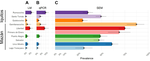 Malaria transmission structure in the Peruvian Amazon through antibody signatures to Plasmodium vivax